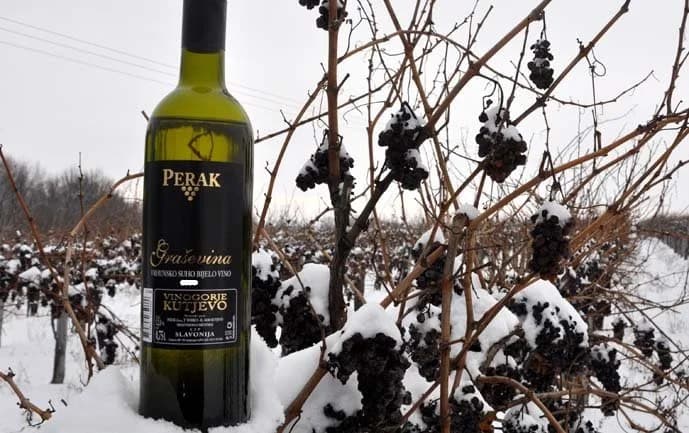 Vinokap 2017.: „Graševina“ ledena berba 2015. Vinarije Perak šampionsko vino