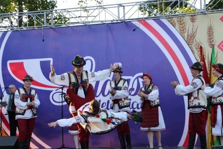 Konjanici jahači i folklorne skupine povorkom krasile Pleternicu, a nastupom oduševili brojne posjetitelje LIDAS-a 2017. /FOTOGALERIJA/