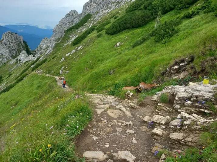 [FOTO] Kutjevački planinari osvajaju vrhove Poljske i Hrvatske: Nevjerojatna avantura na planinama Krzesanica, Tatizanski i Papuk