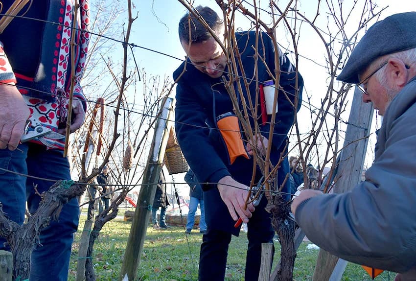 VINCELOVO OBILJEŽILA UDRUGA “VINO-KAP” IZ KAPTOLA: Ugostili prijatelje iz Jajca i Mađarske