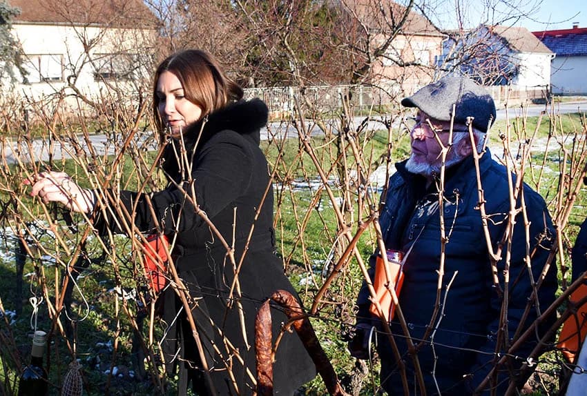 VINCELOVO OBILJEŽILA UDRUGA “VINO-KAP” IZ KAPTOLA: Ugostili prijatelje iz Jajca i Mađarske