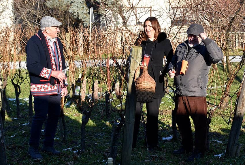 VINCELOVO OBILJEŽILA UDRUGA “VINO-KAP” IZ KAPTOLA: Ugostili prijatelje iz Jajca i Mađarske