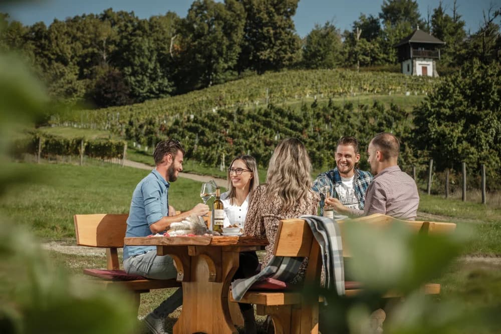 Doživite nezaboravno iskustvo berbe i zabave s ekipom u vinariji Kutjevo