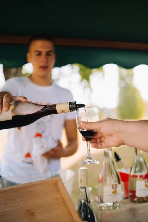 „Ideš i piješ“: Uronite u Zlatnu dolinu uz vrhunska ića i pića na papučkom wine and walku