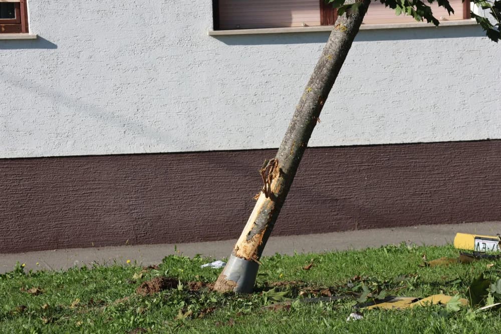 Sletio s ceste i udario u stablo / FOTO/