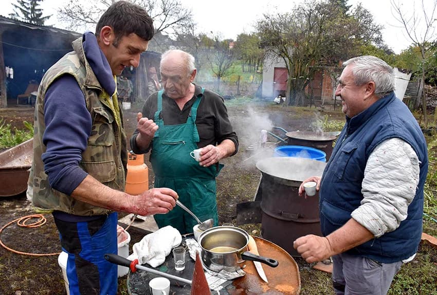 TRADICIONALNO SLAVONSKO KOLINJE U OBITELJI JAGEČIĆ IZ BIŠKUPACA: Toplo vrijeme nije dobro za meso
