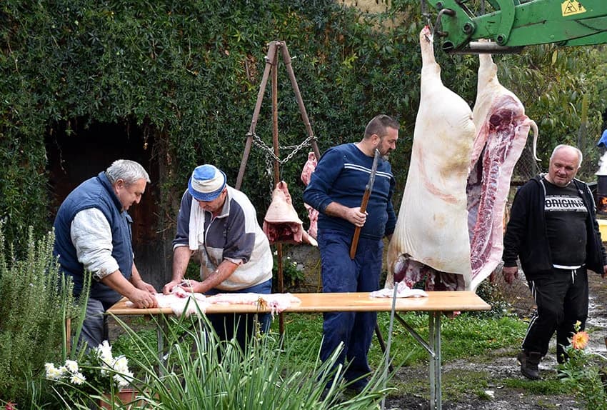 TRADICIONALNO SLAVONSKO KOLINJE U OBITELJI JAGEČIĆ IZ BIŠKUPACA: Toplo vrijeme nije dobro za meso