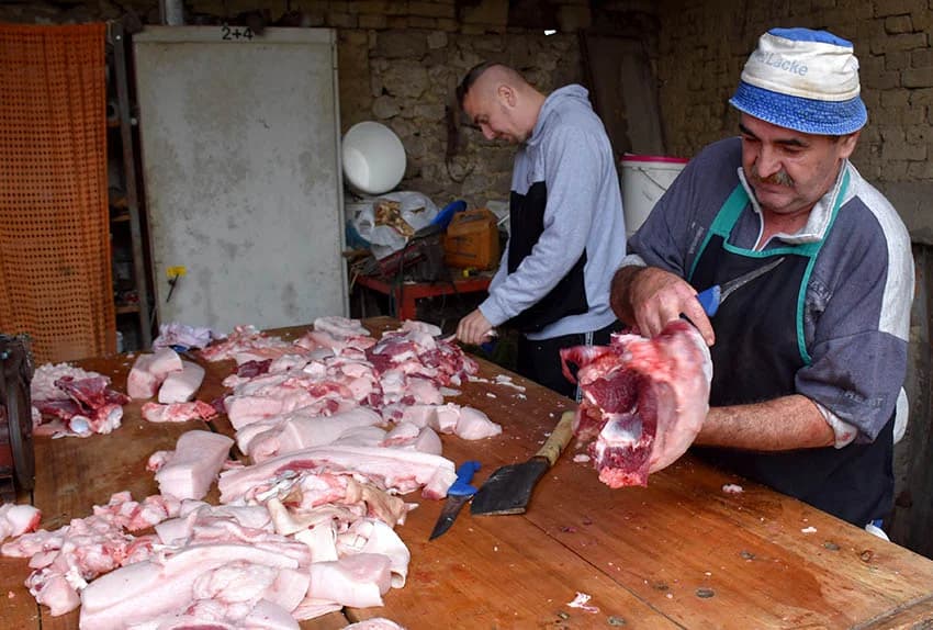 TRADICIONALNO SLAVONSKO KOLINJE U OBITELJI JAGEČIĆ IZ BIŠKUPACA: Toplo vrijeme nije dobro za meso