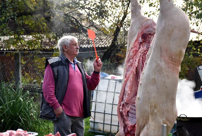 TRADICIONALNO SLAVONSKO KOLINJE U OBITELJI JAGEČIĆ IZ BIŠKUPACA: Toplo vrijeme nije dobro za meso