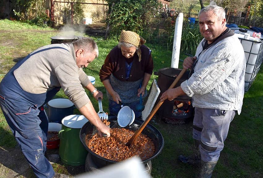 TRADICIONALNO SLAVONSKO KOLINJE U OBITELJI JAGEČIĆ IZ BIŠKUPACA: Toplo vrijeme nije dobro za meso