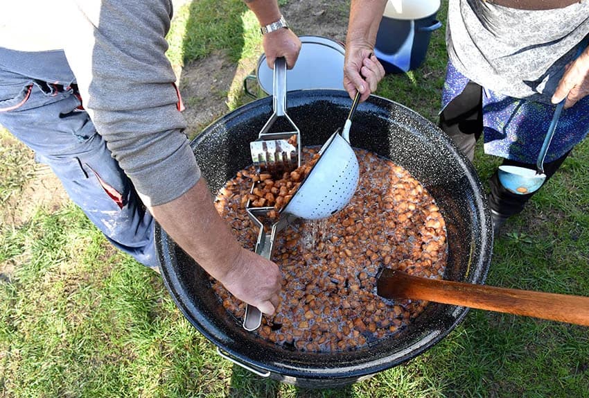 TRADICIONALNO SLAVONSKO KOLINJE U OBITELJI JAGEČIĆ IZ BIŠKUPACA: Toplo vrijeme nije dobro za meso