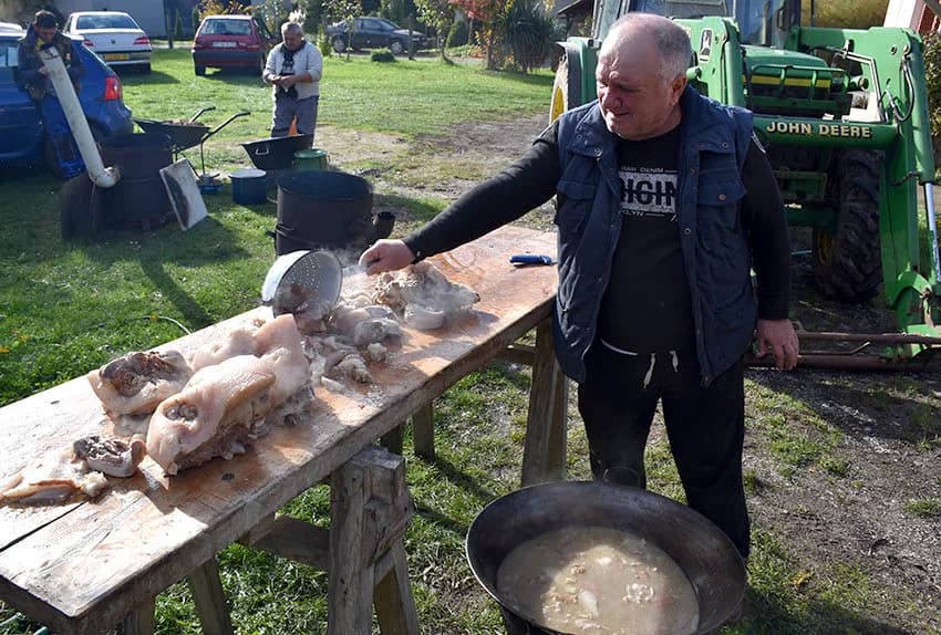 TRADICIONALNO SLAVONSKO KOLINJE U OBITELJI JAGEČIĆ IZ BIŠKUPACA: Toplo vrijeme nije dobro za meso