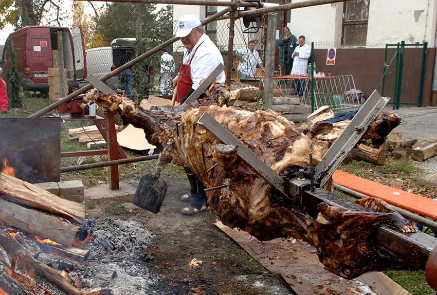 IVAN CEROVAC SVIJEDOK BOGATE POŽEŠKE MESARSKE TRADICIJE: Niti u mirovini ne miruje