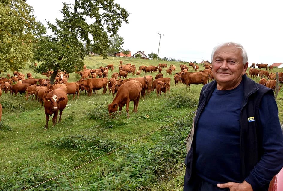 STOČARSKA PROIZVODNJA POZNATOG VINARA IVE ENJINGIJA IZ HRNJEVCA: ʼSve radimo i za ekološku gnojidbu vinogradaʼ
