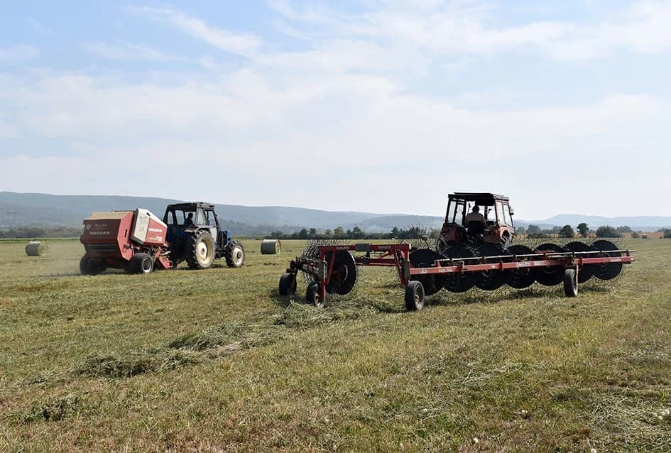 STOČARSKA PROIZVODNJA POZNATOG VINARA IVE ENJINGIJA IZ HRNJEVCA: ʼSve radimo i za ekološku gnojidbu vinogradaʼ