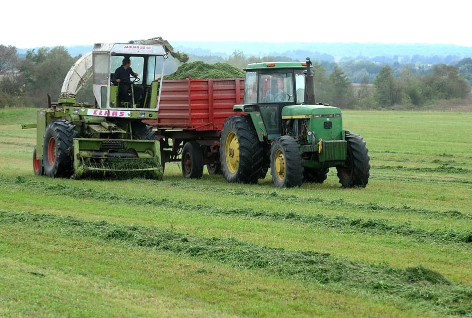 STOČARSKA PROIZVODNJA POZNATOG VINARA IVE ENJINGIJA IZ HRNJEVCA: ʼSve radimo i za ekološku gnojidbu vinogradaʼ