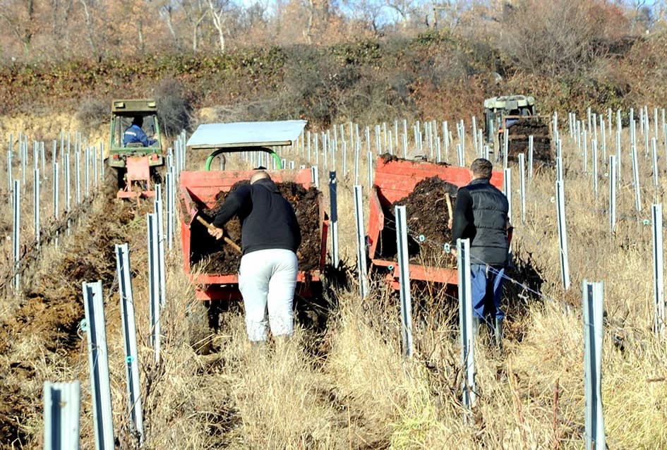 STOČARSKA PROIZVODNJA POZNATOG VINARA IVE ENJINGIJA IZ HRNJEVCA: ʼSve radimo i za ekološku gnojidbu vinogradaʼ
