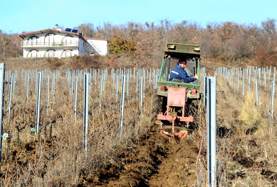 STOČARSKA PROIZVODNJA POZNATOG VINARA IVE ENJINGIJA IZ HRNJEVCA: ʼSve radimo i za ekološku gnojidbu vinogradaʼ