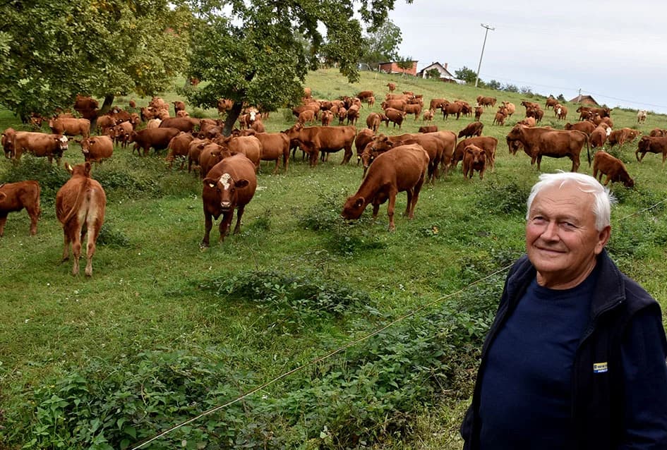 STOČARSKA PROIZVODNJA POZNATOG VINARA IVE ENJINGIJA IZ HRNJEVCA: ʼSve radimo i za ekološku gnojidbu vinogradaʼ
