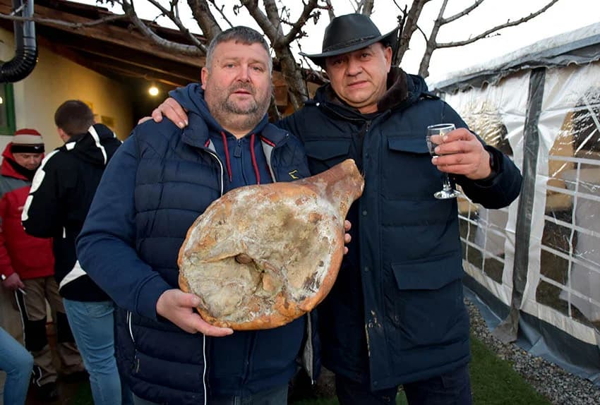 Slavili obnovu tri hektara vinograda