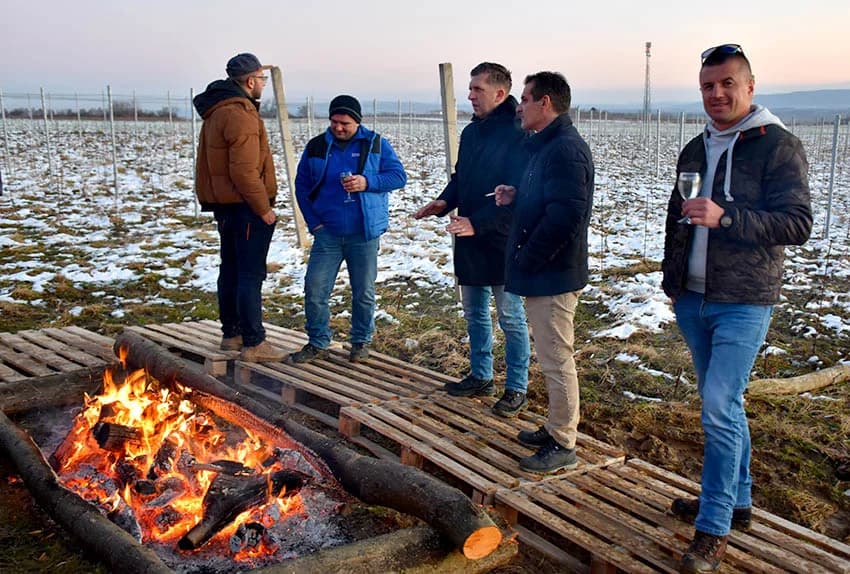 Slavili obnovu tri hektara vinograda
