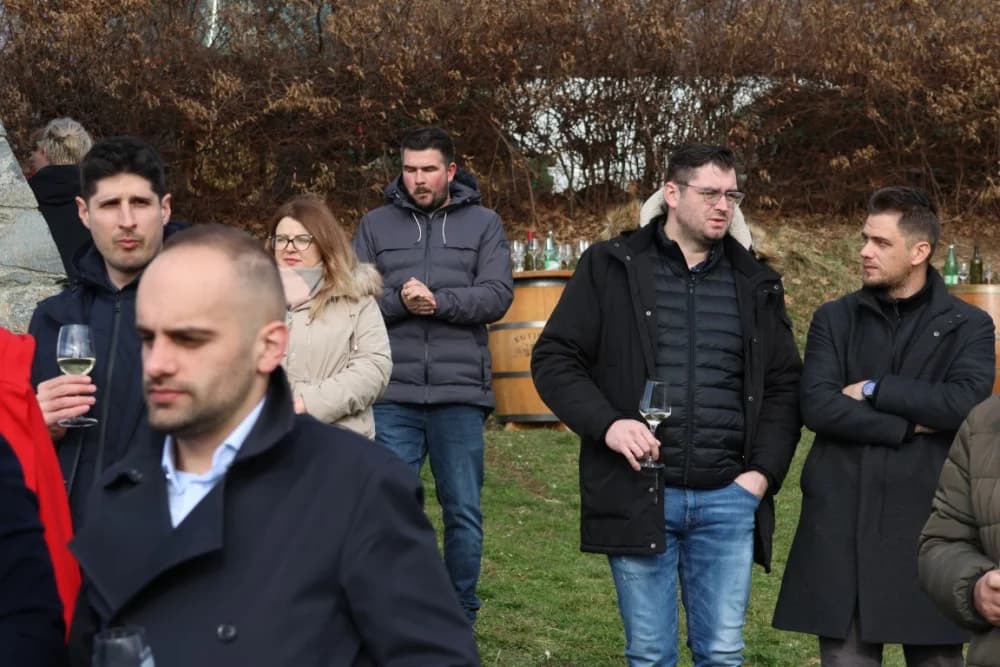 Orezani prvi trsovi u vinogradima Kutjeva d.d.