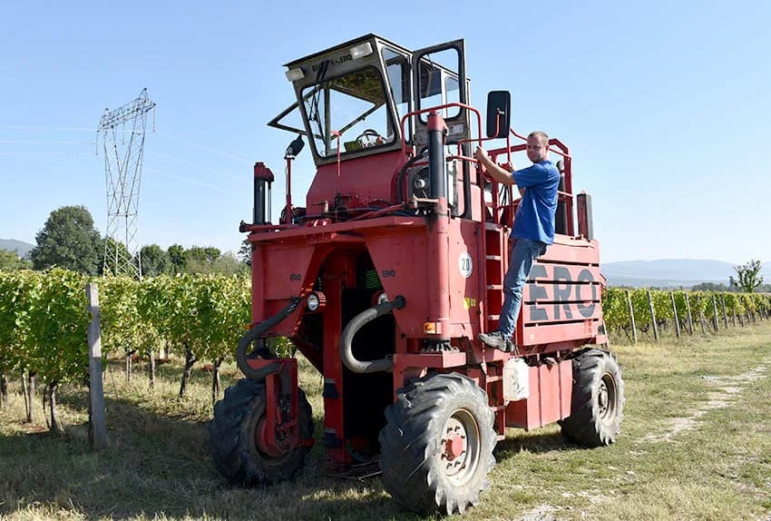 Nedostatak berača rješavaju kombajni