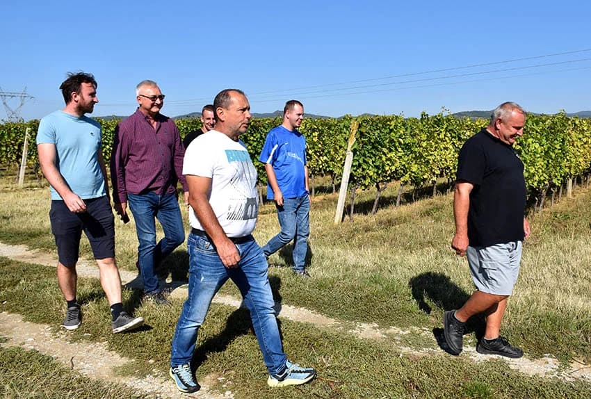 Nedostatak berača rješavaju kombajni