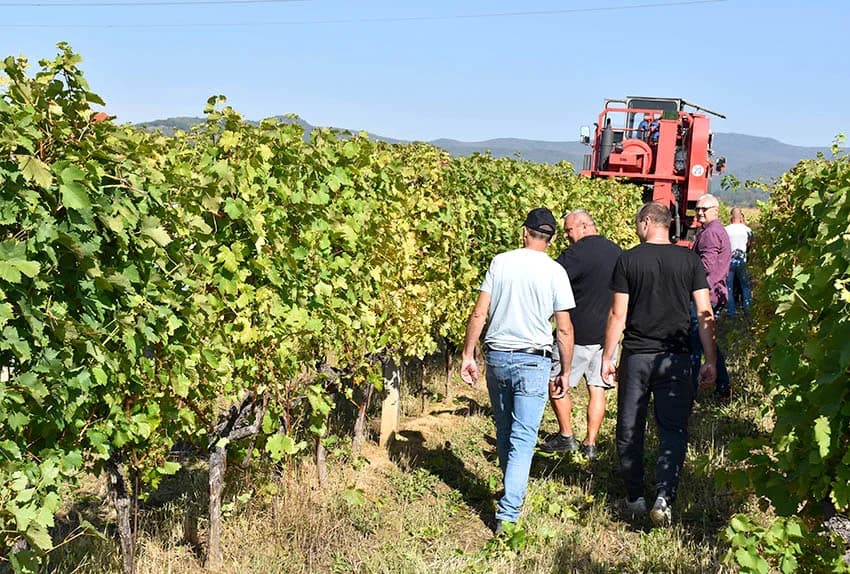 Nedostatak berača rješavaju kombajni