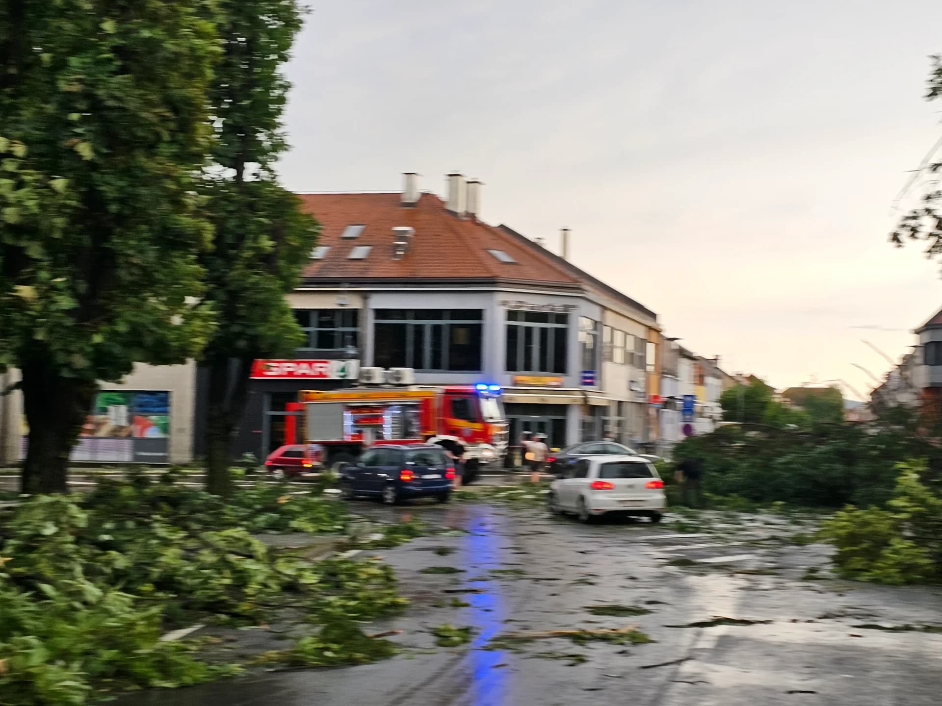 Pleternički park uništen do neprepoznatljivosti: Gotovo da nema stabla koje nije slomljeno (FOTO)