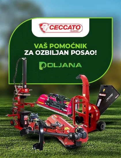 Oglas