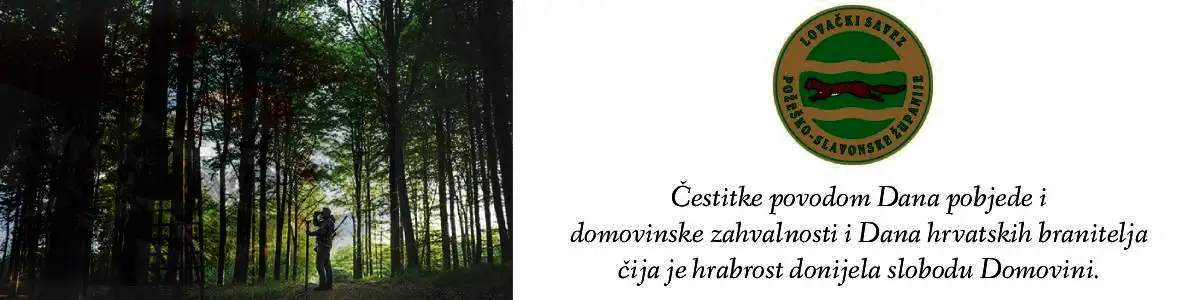 Oglas
