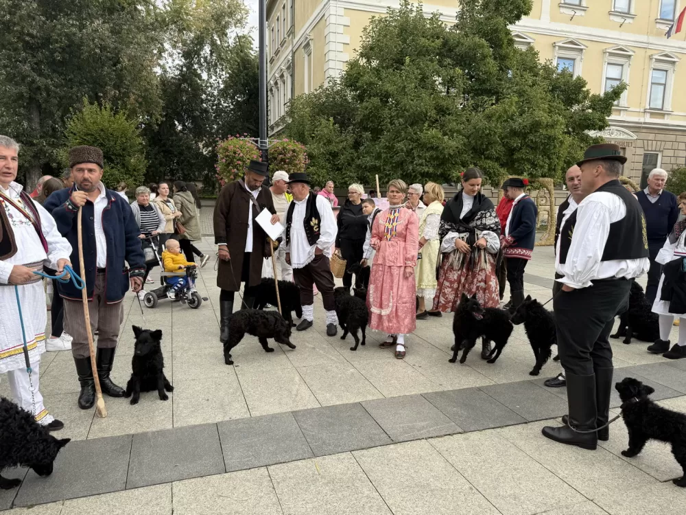 Pogača Fest oživio duh Slavonskog Broda – 20-metarska šokačka pogača za Guinnessa i nezaboravno slavlje na Korzu