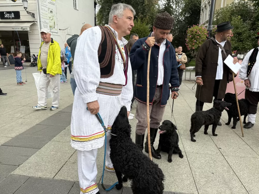 Pogača Fest oživio duh Slavonskog Broda – 20-metarska šokačka pogača za Guinnessa i nezaboravno slavlje na Korzu