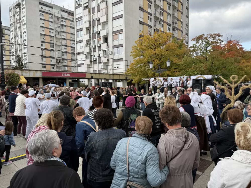 Pogača Fest oživio duh Slavonskog Broda – 20-metarska šokačka pogača za Guinnessa i nezaboravno slavlje na Korzu