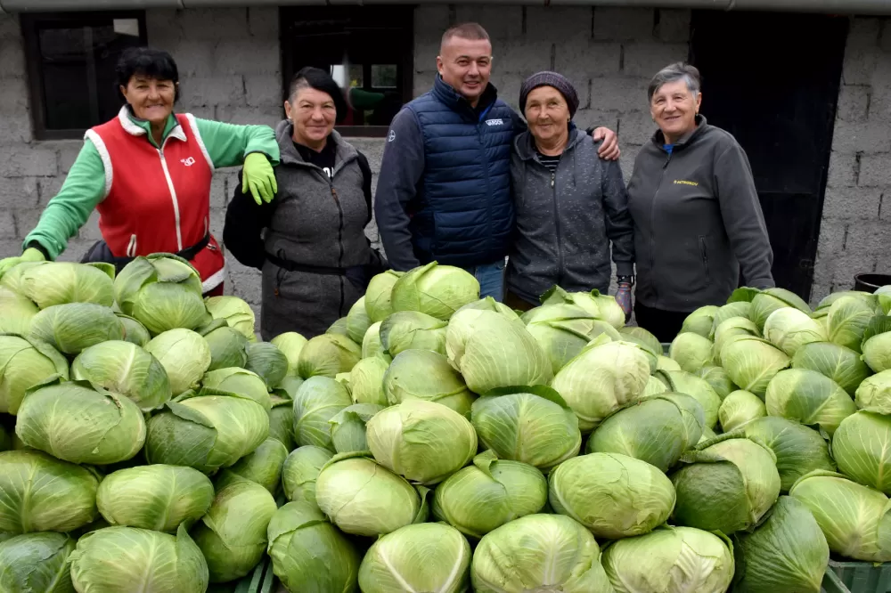 Požega.eu | Kupus  Alilovčanina Krune Ciganovića tražen na tržištu