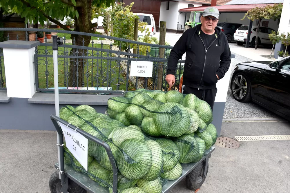 Kupus  Alilovčanina Krune Ciganovića tražen na tržištu