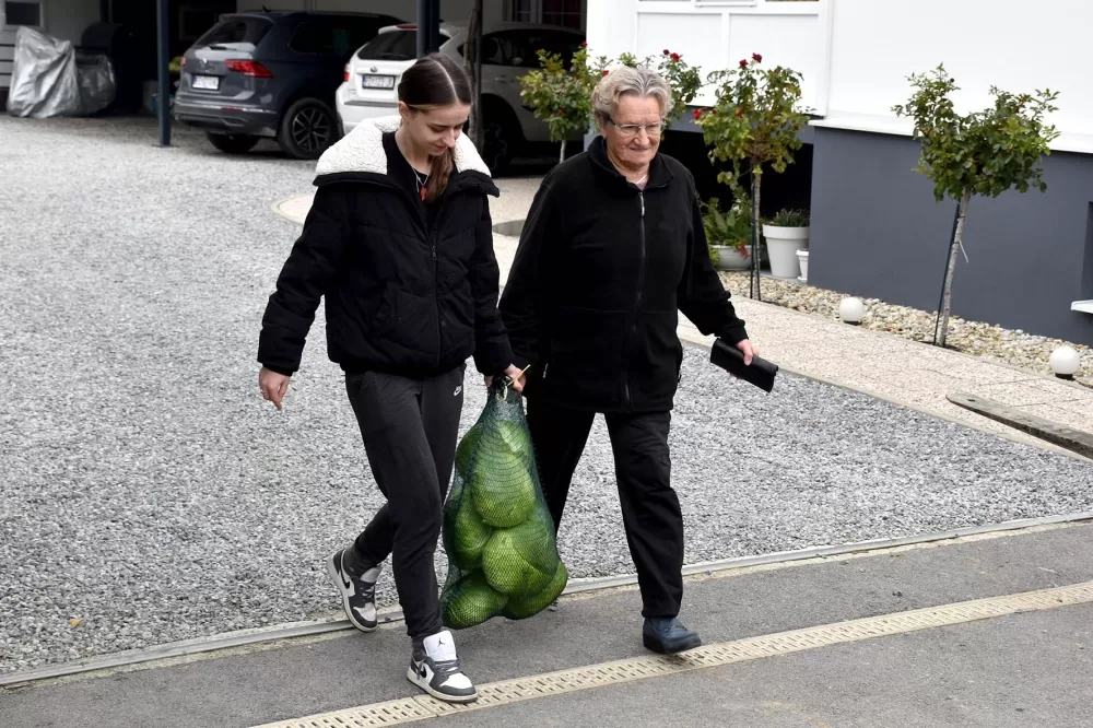 Kupus  Alilovčanina Krune Ciganovića tražen na tržištu