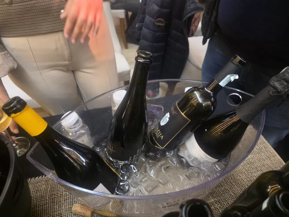 Kutjevo d.d. među zvijezdama regije na VINOSAUR 2025 – festivalu vina i gastronomije u Banja Luci