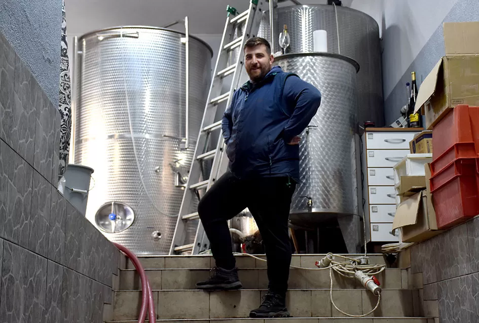 Obilje grožđa u vinogradima obitelji Perak iz Kutjeva