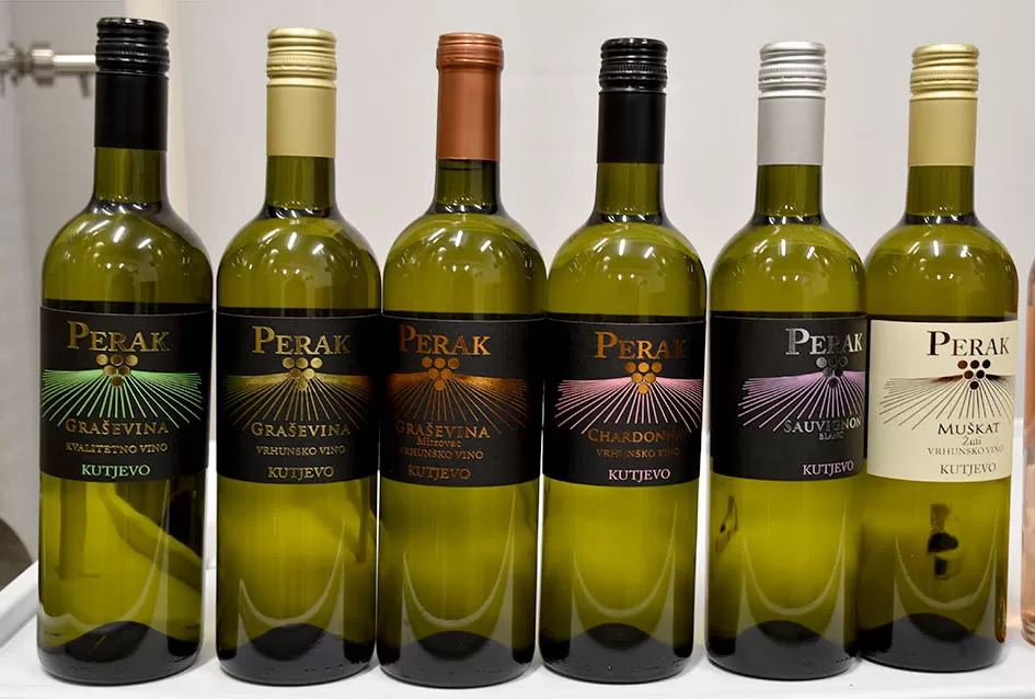 Obilje grožđa u vinogradima obitelji Perak iz Kutjeva