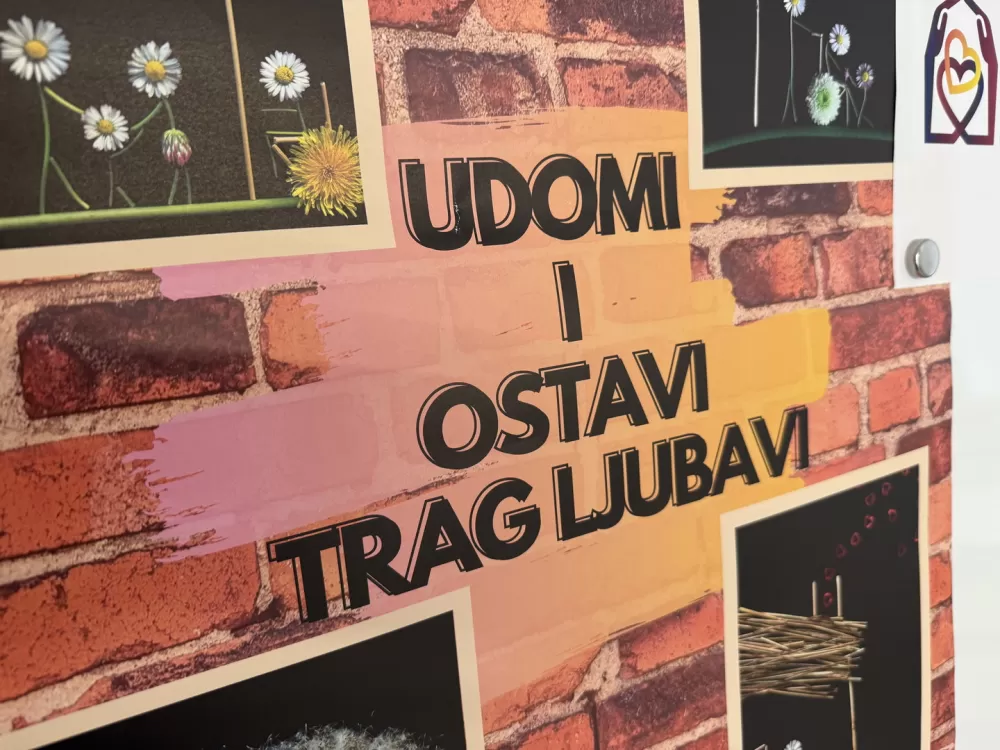 Završni skup pilot projekta podrške udomiteljstvu održan u Slavonskom Brodu