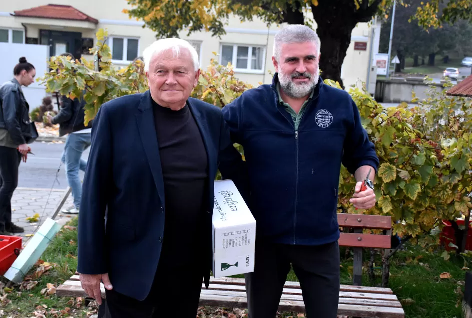 Kutjevački vinari svečano zaključili berbu grožđa na Trgu graševine