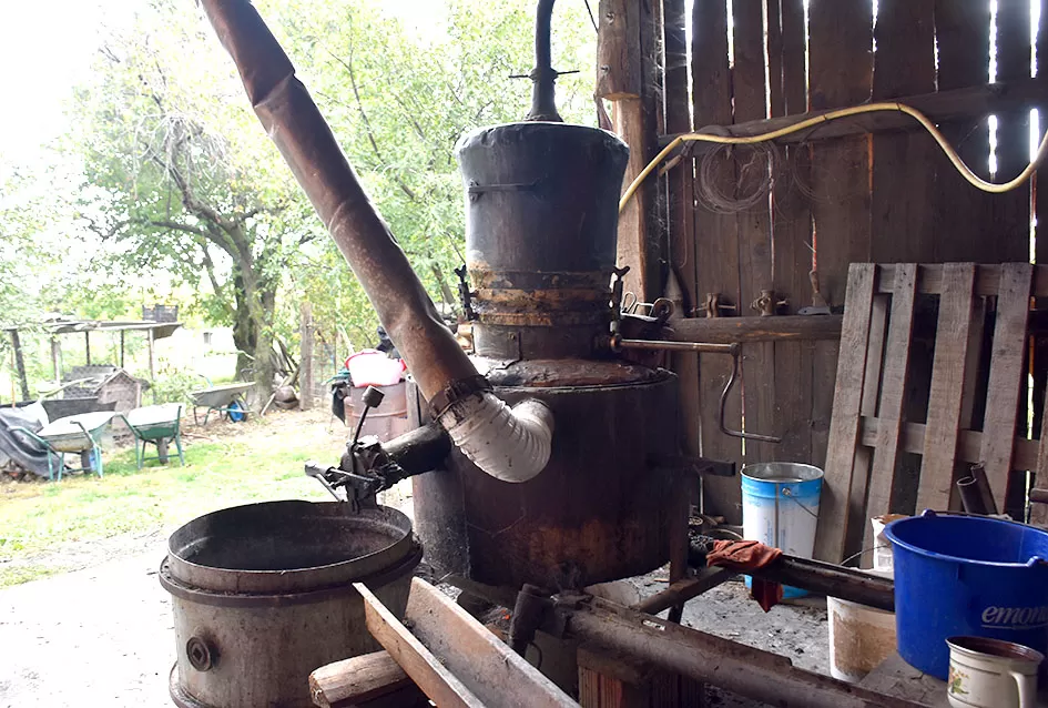 Potekla Tonina komovica kao biser čista 