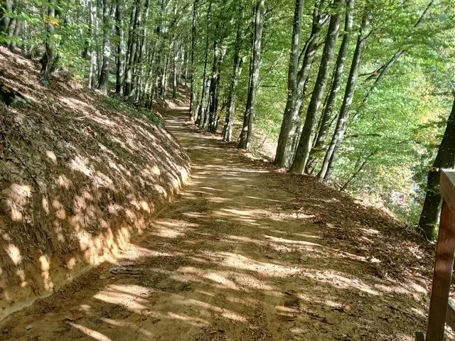 OPĆINA SIBINJ - PROMOCIJA ŠETNICE NA JEZERU PETNJA: Idealno mjesto za bijeg od civilizacije i čarobni obiteljski izlet