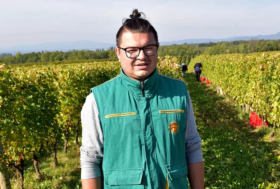 Kraj berbe u znaku zadovoljstva – Krauthakerovi vinogradi ponovno dali vrhunsko grožđe