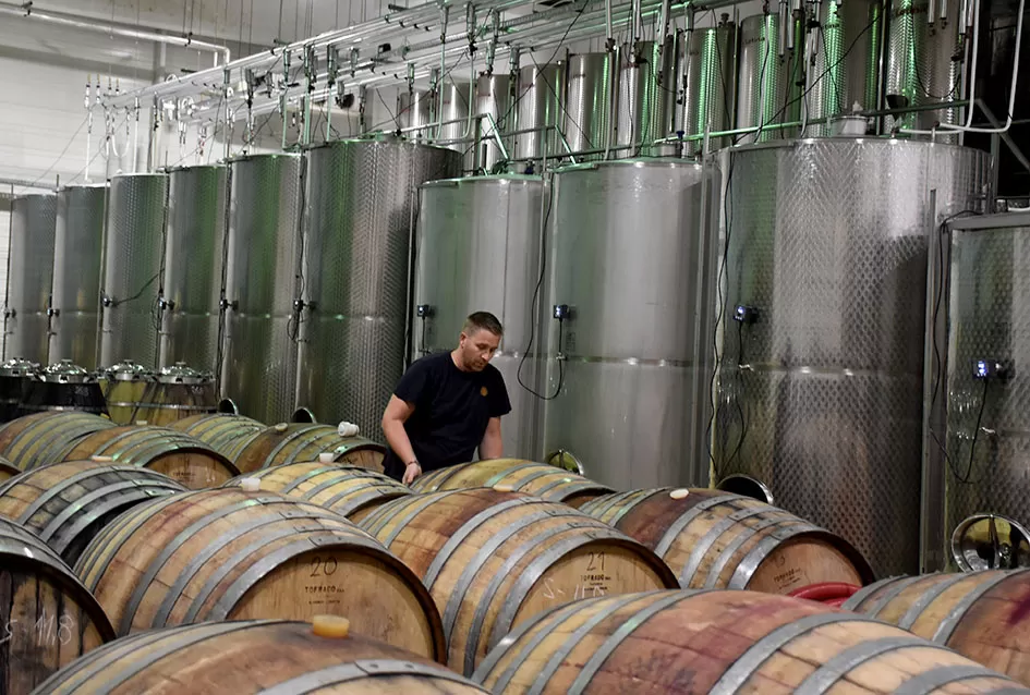 Kraj berbe u znaku zadovoljstva – Krauthakerovi vinogradi ponovno dali vrhunsko grožđe