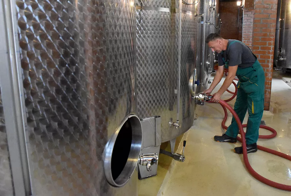 Kraj berbe u znaku zadovoljstva – Krauthakerovi vinogradi ponovno dali vrhunsko grožđe