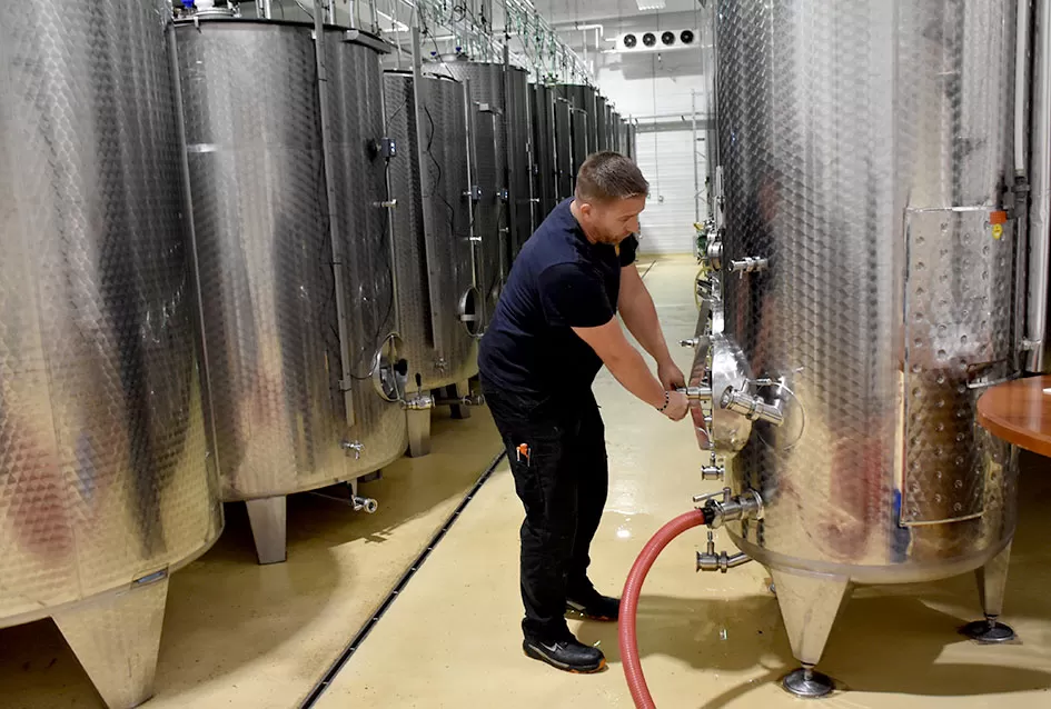 Kraj berbe u znaku zadovoljstva – Krauthakerovi vinogradi ponovno dali vrhunsko grožđe