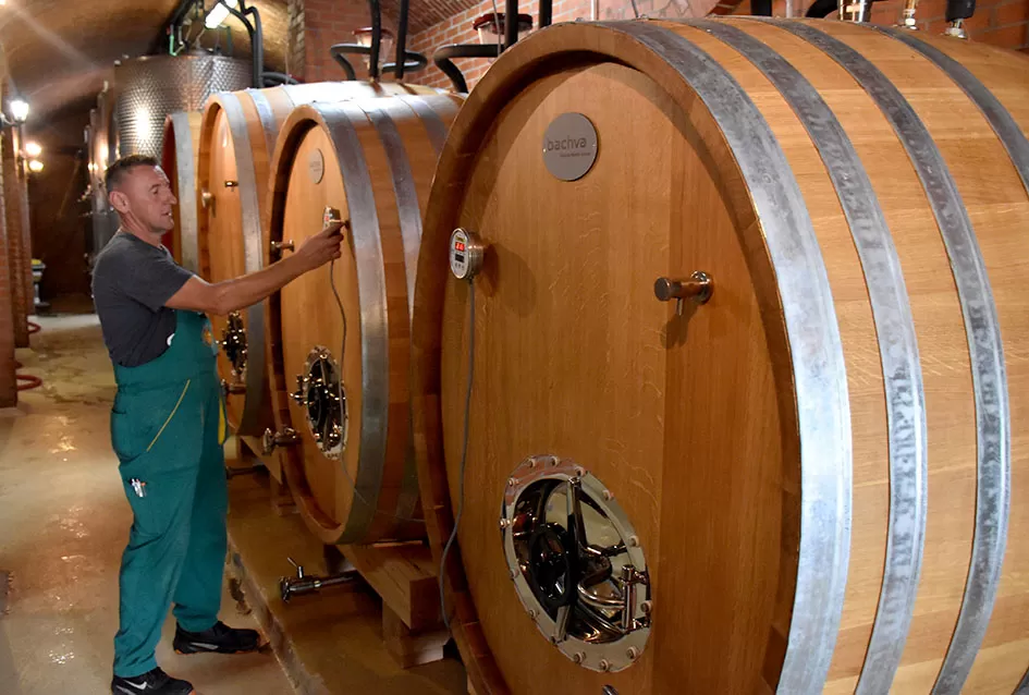 Kraj berbe u znaku zadovoljstva – Krauthakerovi vinogradi ponovno dali vrhunsko grožđe